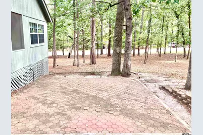 2682 Holly Trail East, Holly Lake Ranch, TX 75765 - Photo 21