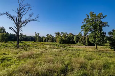 16534 Ridgeline Loop Lot 108, Winona, TX 75792 - Photo 13