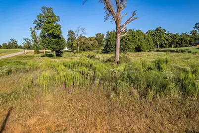 16534 Ridgeline Loop Lot 108, Winona, TX 75792 - Photo 5