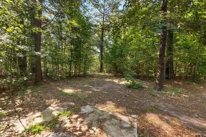 462 Cr 3911, Jacksonville, TX 75766 - Photo 31