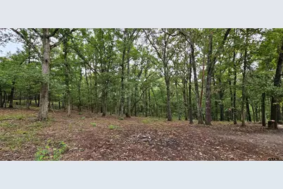 6338 Fm852, Winnsboro, TX 75494 - Photo 27