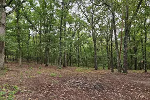 6338 FM852, Winnsboro, TX 75494 - Photo 27