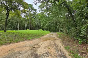 6338 FM852, Winnsboro, TX 75494 - Photo 25