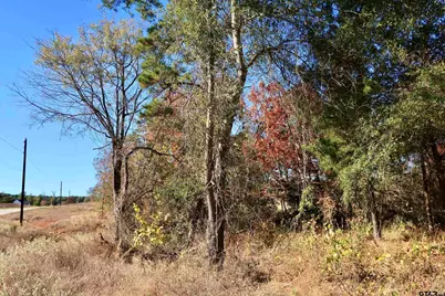 16619 Ridgeline Loop, Winona, TX 75792 - Photo 13