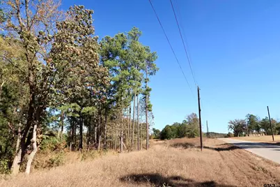 16619 Ridgeline Loop, Winona, TX 75792 - Photo 11