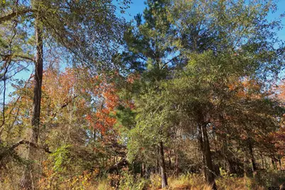 16619 Ridgeline Loop, Winona, TX 75792 - Photo 3