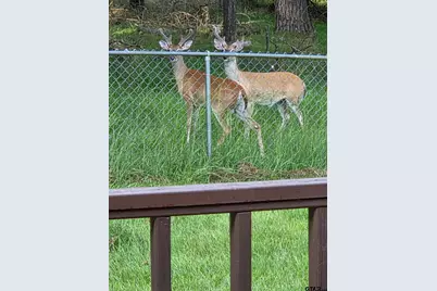 782 An County Road 325, Frankston, TX 75763 - Photo 39