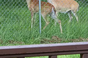 782 An County Rd 325, Frankston, TX 75763 - Photo 39