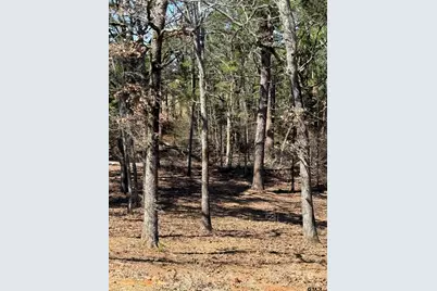 21482 W Fm 16, Lindale, TX 75771 - Photo 39