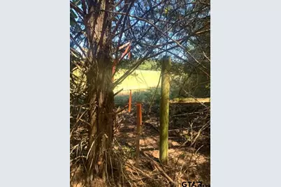 Tbd Cr 479 (Tract 2), Lindale, TX 75771 - Photo 5