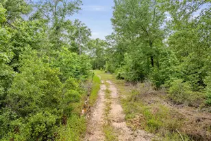 1545 SE Fm 2419, Palestine, TX 75801 - Photo 47