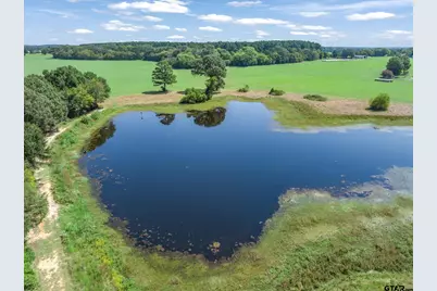 893 Vz County Road 4203, Canton, TX 75103 - Photo 5