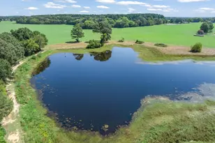 893 Vz County Road 4203, Canton, TX 75103 - Photo 5