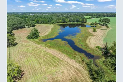 893 Vz County Road 4203, Canton, TX 75103 - Photo 7