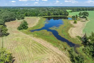 893 Vz County Road 4203, Canton, TX 75103 - Photo 7