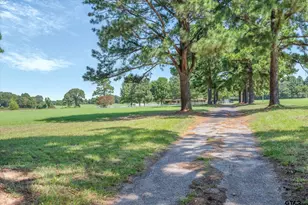 893 Vz County Road 4203, Canton, TX 75103 - Photo 11