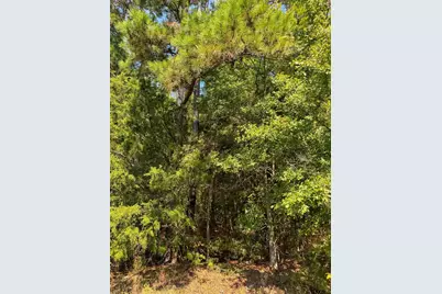 205 Highway 155, Avinger, TX 75630 - Photo 27