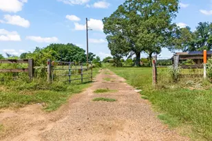 6404 Black Gum Rd, Gilmer, TX 75644 - Photo 43