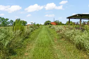 6404 Black Gum Rd, Gilmer, TX 75644 - Photo 43