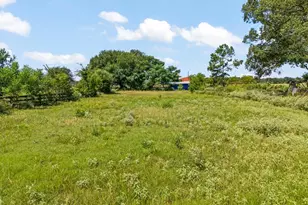 6404 Black Gum Rd, Gilmer, TX 75644 - Photo 37