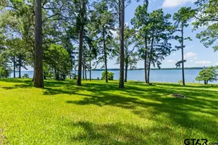 263 Crestwood Loop, Avinger, TX 75630 - Photo 43