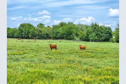 Tract 1 Fm 855, Jacksonville, TX 75766 - Photo 3