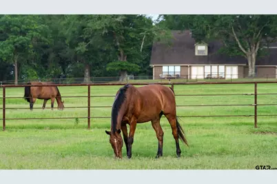 21384 County Road 116, Tyler, TX 75703 - Photo 43