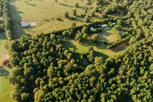 1609 County Rd 2626, Wells, TX 75976 - Photo 3