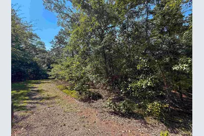 1555 Canadian Drive, Scroggins, TX 75480 - Photo 17