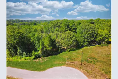 Lot 32 Creek Bottom Ct, Winona, TX 75792 - Photo 3