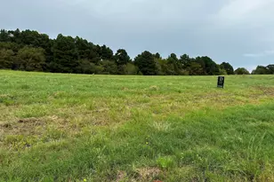 16724 Caeli Hts Ct Lot 13, Winona, TX 75792 - Photo 1