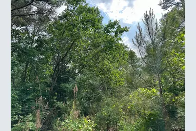 16837 Pine Hollow, Flint, TX 75762 - Photo 3