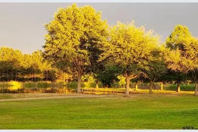 750 Vz County Road 4703, Ben Wheeler, TX 75754 - Photo 5