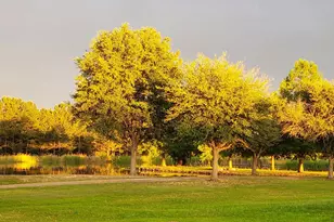 750 Vz County Road 4703, Ben Wheeler, TX 75754 - Photo 5