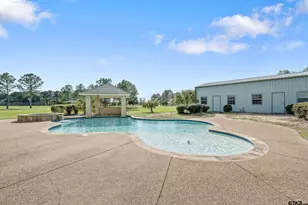 750 Vz County Road 4703, Ben Wheeler, TX 75754 - Photo 23