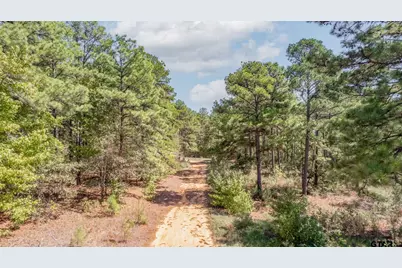 18596 County Road 2154, Troup, TX 75789 - Photo 13