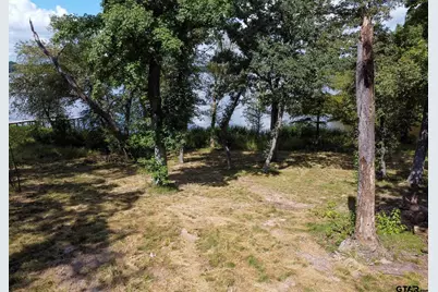 2450 Cr 3412, Chandler, TX 75758 - Photo 7