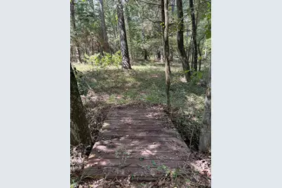 19555 Cr 178, Flint, TX 75762 - Photo 7