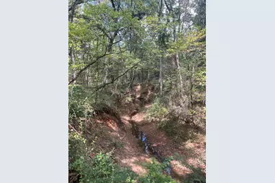 19555 Cr 178, Flint, TX 75762 - Photo 9