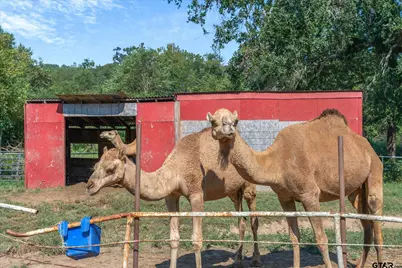 1936 Silver Maple Rd., Big Sandy, TX 75755 - Photo 33