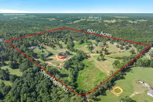 1936 Silver Maple Rd, Big Sandy, TX 75755 - Photo 7