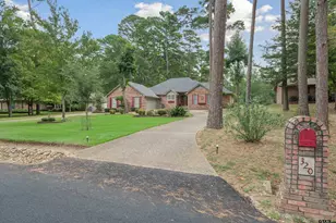 320 Greenbriar Trail, Holly Lake Ranch, TX 75765 - Photo 3