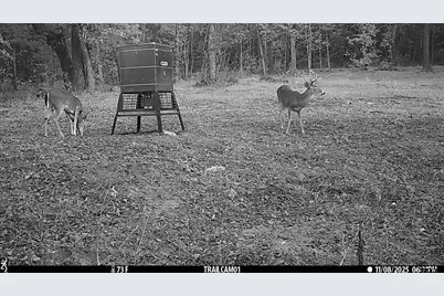000 Cr 354, Winona, TX 75792 - Photo 9