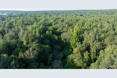 000 Cr 354, Winona, TX 75792 - Photo 29