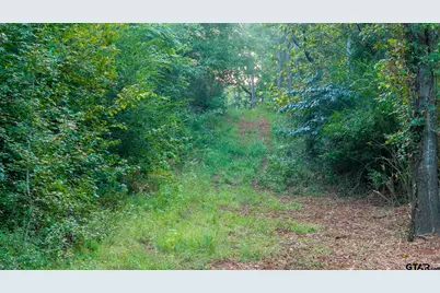 000 Cr 354, Winona, TX 75792 - Photo 5