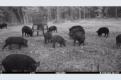 000 Cr 354, Winona, TX 75792 - Photo 19