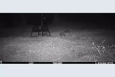 000 Cr 354, Winona, TX 75792 - Photo 21