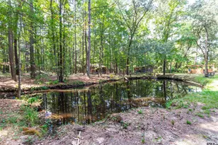 153 Cr 319 W, Tyler, TX 75706 - Photo 7