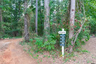 153 Cr 319 W, Tyler, TX 75703 - Photo 9