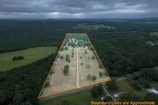 1000 Co Rd 3211, Jacksonville, TX 75766 - Photo 47